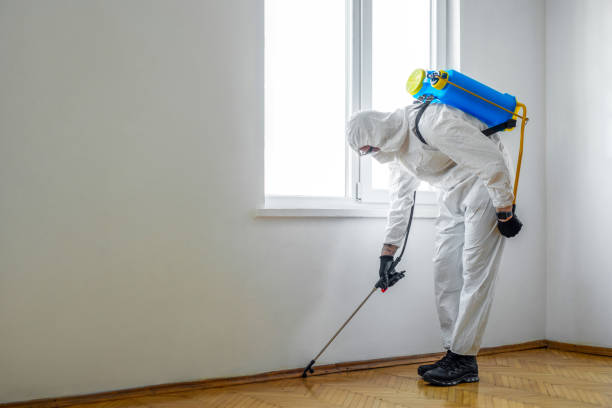 Best Exterminator Services  in University Of Lifornia Davis, CA