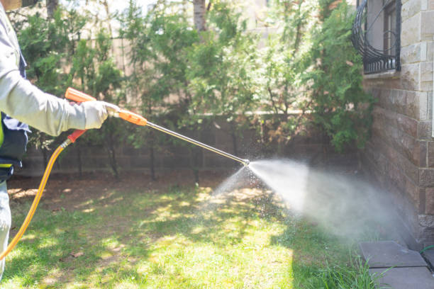 Best Affordable Pest Control Services  in University Of Lifornia Davis, CA