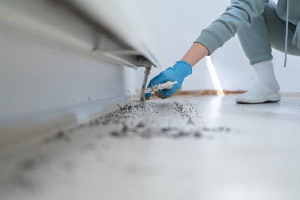 Best Residential Pest Control  in University Of Lifornia Davis, CA